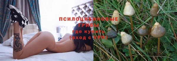 apvp Майский