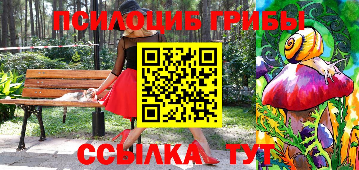 Углич  Псилоцибиновые грибы Psilocybine cubensis  Вход с VPN 