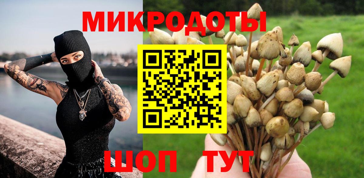 Галлюциногенные грибы Magic Shrooms Углич